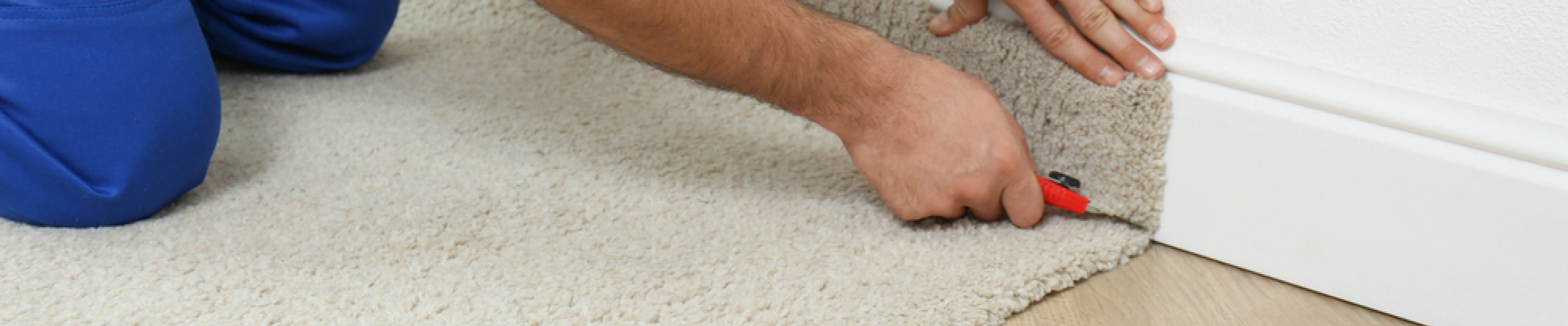 carpet cleaning in bronx, carpet cleaning in bronx, carpet cleaning bronx, carpet cleaners in bronx, carpet cleaners in bronx, commercial carpet cleaning, commercial carpet cleaning in bronx, bronx rug cleaners, rug cleaning services in bronx, same day carpet cleaning, same day rug cleaning