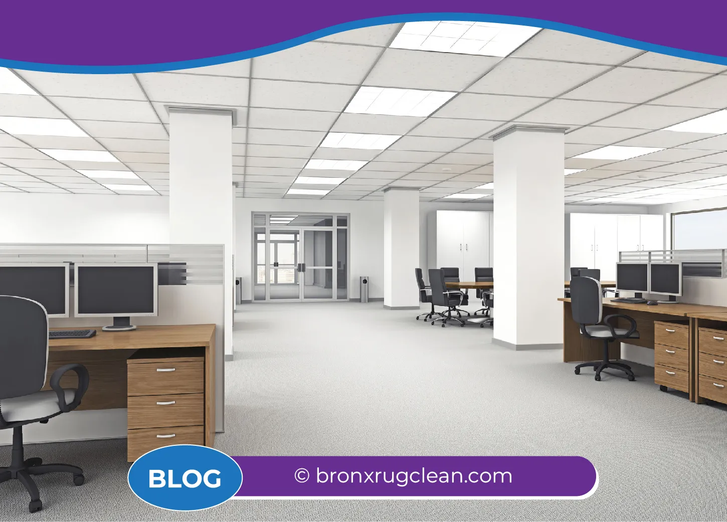 carpet cleaning in bronx, carpet cleaning in new york, carpet cleaning bronx, carpet cleaners in bronx, carpet cleaners in new york, commercial carpet cleaning, commercial carpet cleaning in bronx, bronx rug cleaners, rug cleaning services in bronx, same day carpet cleaning, same day rug cleaning
